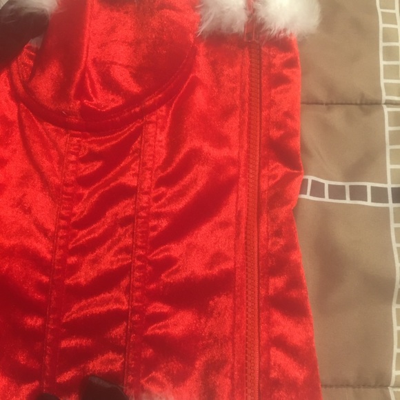 Lingerie Fur Trim Red Velvet Corset Set - Picture 4 of 16